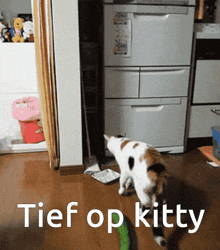 Kitty Tief Op GIF