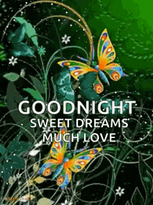 Goodnight Sparkles GIF - Goodnight Sparkles Butterfly GIFs