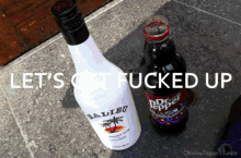 Get Fucked Up GIF - Fucked Drinking Alcohol GIFs