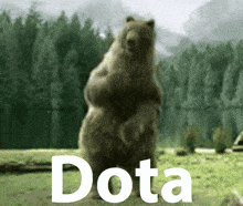 Dota Bear GIF - Dota Bear Wild Animal GIFs