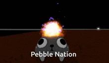a picture of a cartoon character with the words pebble nation above it