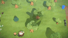 Animal Crossing Welcome GIF - Animal Crossing Welcome Dodo Airlines GIFs