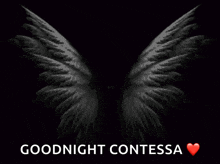 a black and white image of angel wings with the words goodnight contessa above it