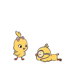 chicks chicks