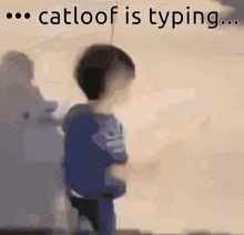 Catloof Is Typing Catloof My Beloved GIF - Catloof Is Typing Catloof My Beloved Loofy My Beloved GIFs