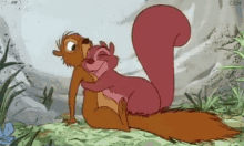 Snuggle Squirrel GIF - Snuggle Squirrel GIFs