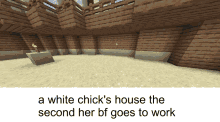 White Chicks Minecraft GIF