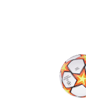 a soccer ball that has the word champions on it