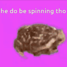Spinningfrog GIF - Spinningfrog GIFs