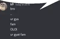 a screenshot of a chat between k9 and ur gya fam