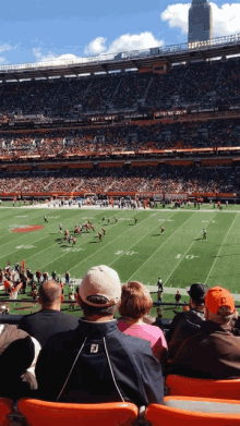 Browns GIF - Browns GIFs