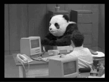 Panda Rage GIF