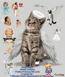 Kitten Angels GIF - Kitten Angels GIFs