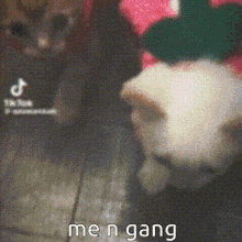 Me N Gang Strawberry Cats Cute Fr GIF - Me N Gang Strawberry Cats Cute Fr GIFs
