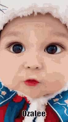 Ozalee Baby GIF