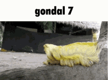 Gondal Gondal7 GIF - Gondal Gondal7 Caterpillar Bug GIFs