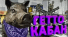 a pig with a bandana around its neck is standing in front of a sign that says " tetto kaban "