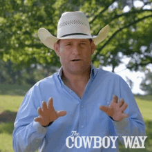 it cowboy