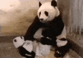 Panda Man GIF - Panda Man Scare GIFs