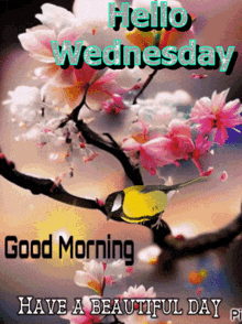 Have A Beautiful Day Wednesday Morning GIF - Have A Beautiful Day Wednesday Morning GIFs