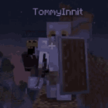 Tommy Ranboo Ranboo Tommy GIF - Tommy Ranboo Ranboo Tommy Alliumduo GIFs
