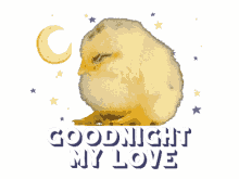 duck good night