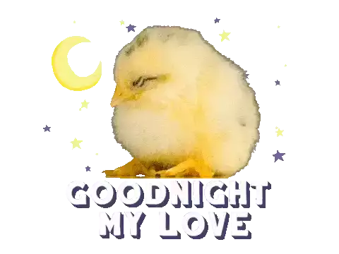 Duck Good Sticker - Duck Good Night Stickers