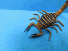 aldo plastilina escorpion