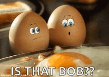 two eggs with faces on them are standing next to a fried egg with the words is that bob below them