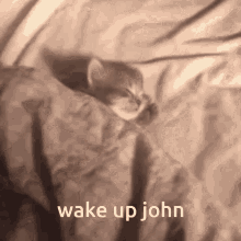 Wake Up John GIF - Wake Up John GIFs