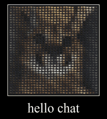 Hello Chat Hello GIF