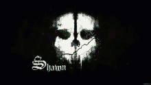 a blue skull with the name shawn written below it