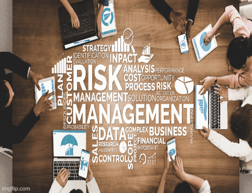 Risk Management Training GIF - Risk Management Training - Discover