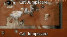 Cat Jumpscare GIF - Cat Jumpscare Cat Jumpscare GIFs