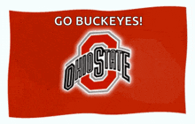 Bucks Ohio State GIF - Bucks Ohio State Flags GIFs