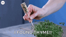 Herb Garden Makers Thyme GIF