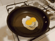 eggs happy