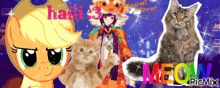 Meow Myko Haii Cat Applejack GIF - Meow Myko Haii Cat Applejack GIFs