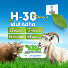 a cow and a goat are standing in a grassy field with a blue sky behind them