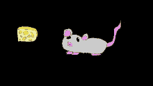 Mouse And Cheese GIF - Mouse And Cheese GIFs