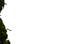 a silhouette of a person with a hat on is against a white background