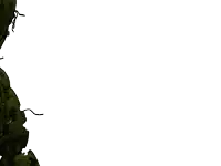 a silhouette of a person with a hat on is against a white background