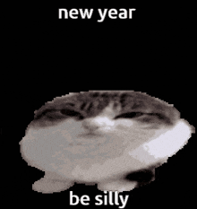 Cat Silly New Year GIF