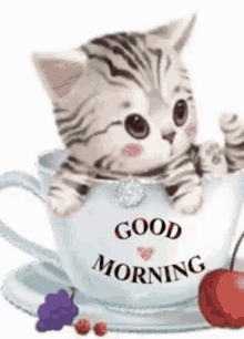 good morning kitten tea cup cherry
