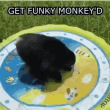 Get Funky Monkeyd GIF - Get Funky Monkeyd GIFs
