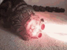 laser xmen cat cyclops cat