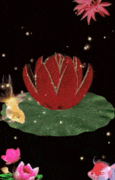 a red lotus flower with the letters sp on it