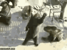 a baby bear is dancing in the snow while a person watches .