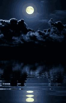 Water Pond GIF