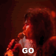 Go Steven Tyler GIF - Go Steven Tyler Aerosmith GIFs